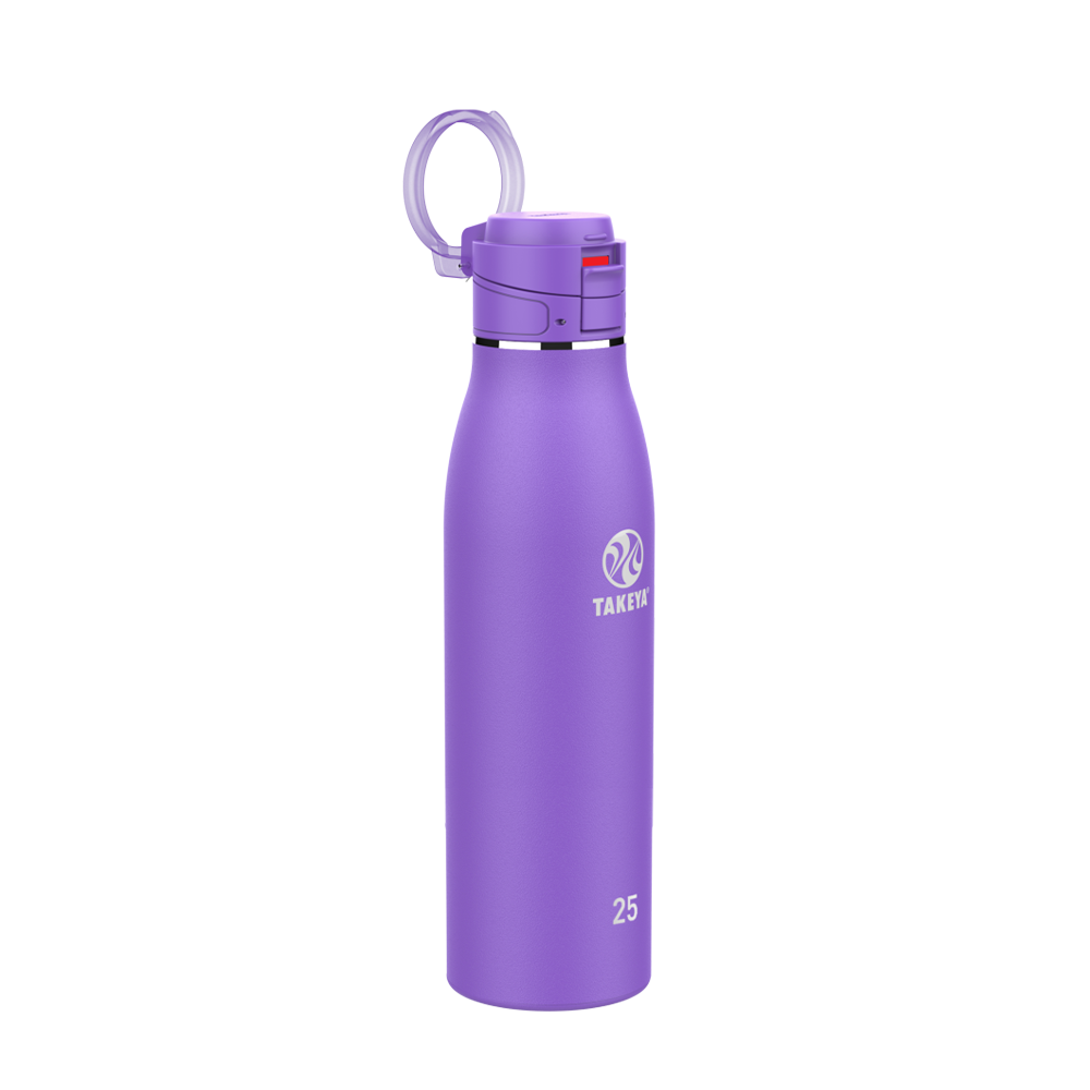 Takeya 25 oz Traveler Insulated Leak Proof Mug With FlipLock Lid