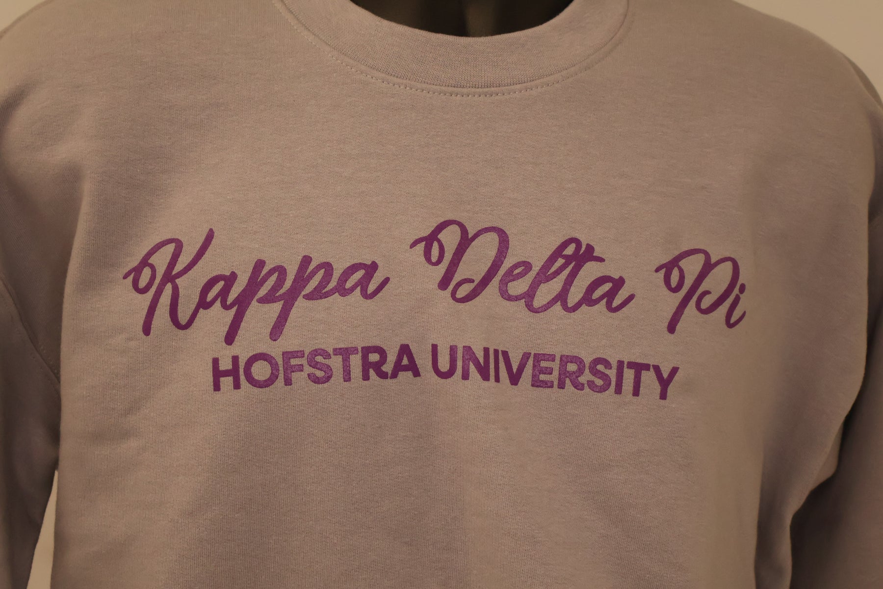 Fraternity Crewnecks image 2