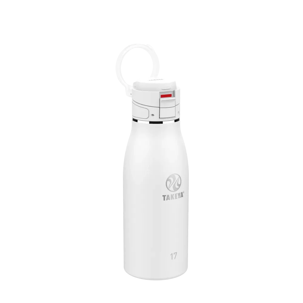 Takeya 17 oz Traveler Insulated Leak Proof Mug With FlipLock Lid