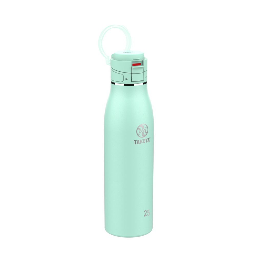 Takeya 25 oz Traveler Insulated Leak Proof Mug With FlipLock Lid
