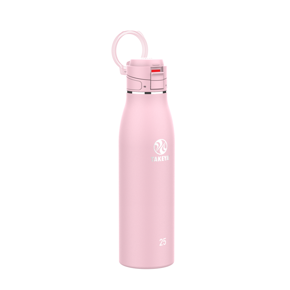 Takeya 25 oz Traveler Insulated Leak Proof Mug With FlipLock Lid