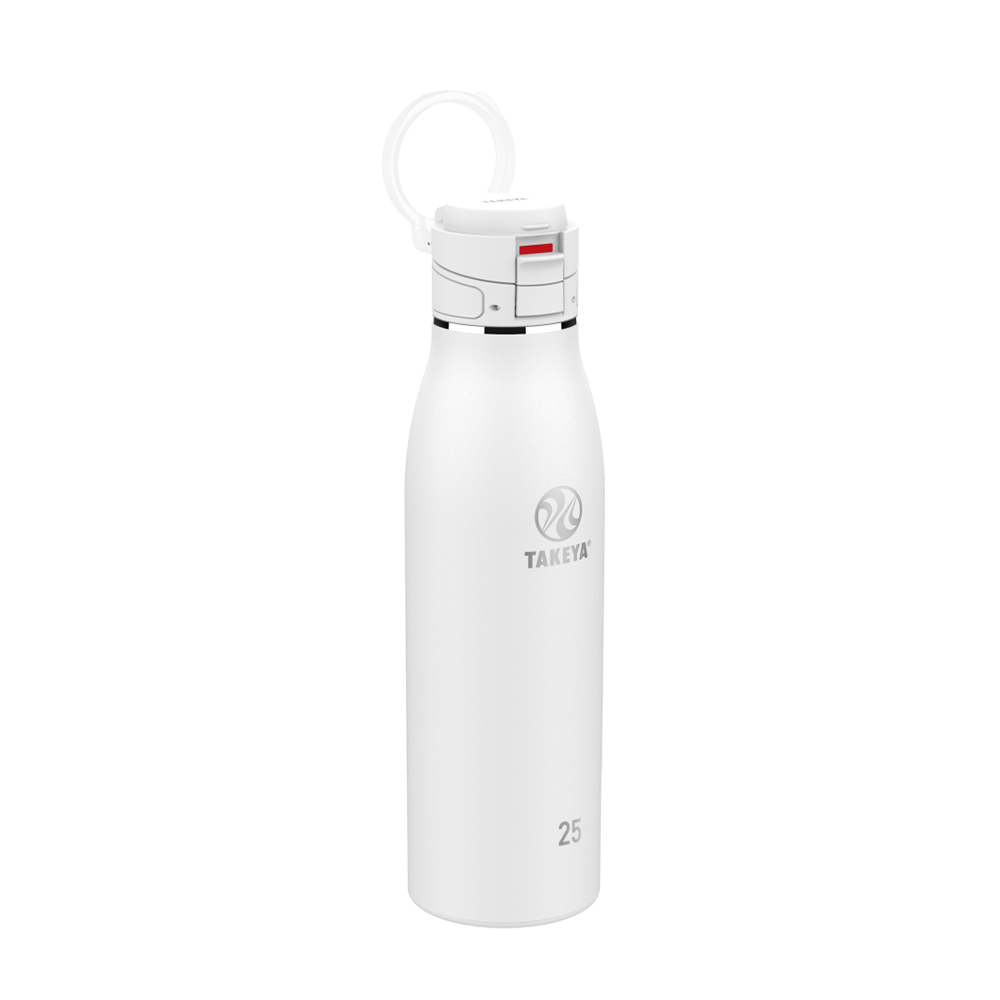 Takeya 25 oz Traveler Insulated Leak Proof Mug With FlipLock Lid