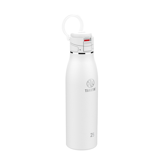 Takeya 25 oz Traveler Insulated Leak Proof Mug With FlipLock Lid
