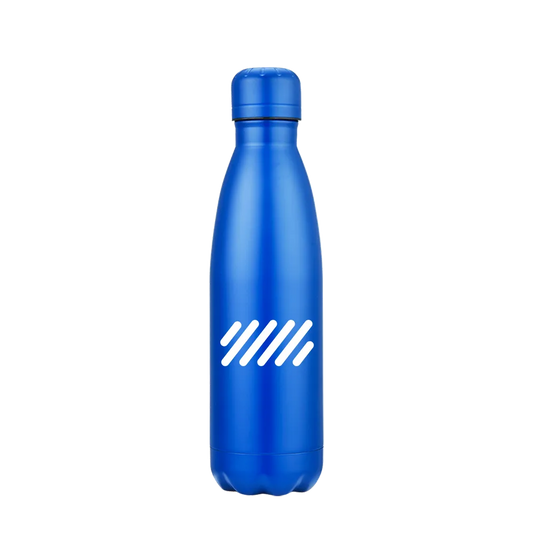 Slate 17 oz Vaccuum Bottle