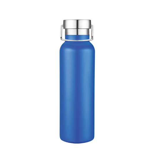 Slate 20 oz Vacuum Bottle