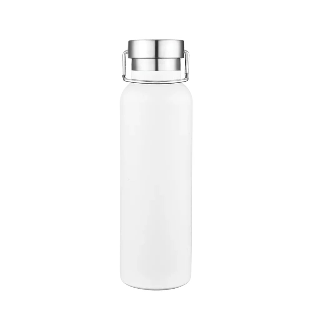 Slate 20 oz Vacuum Bottle