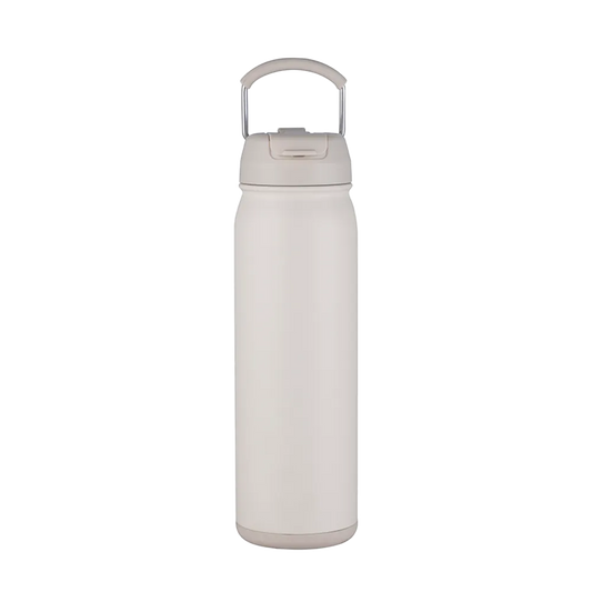Slate 24 oz Bottle with Dual Lid