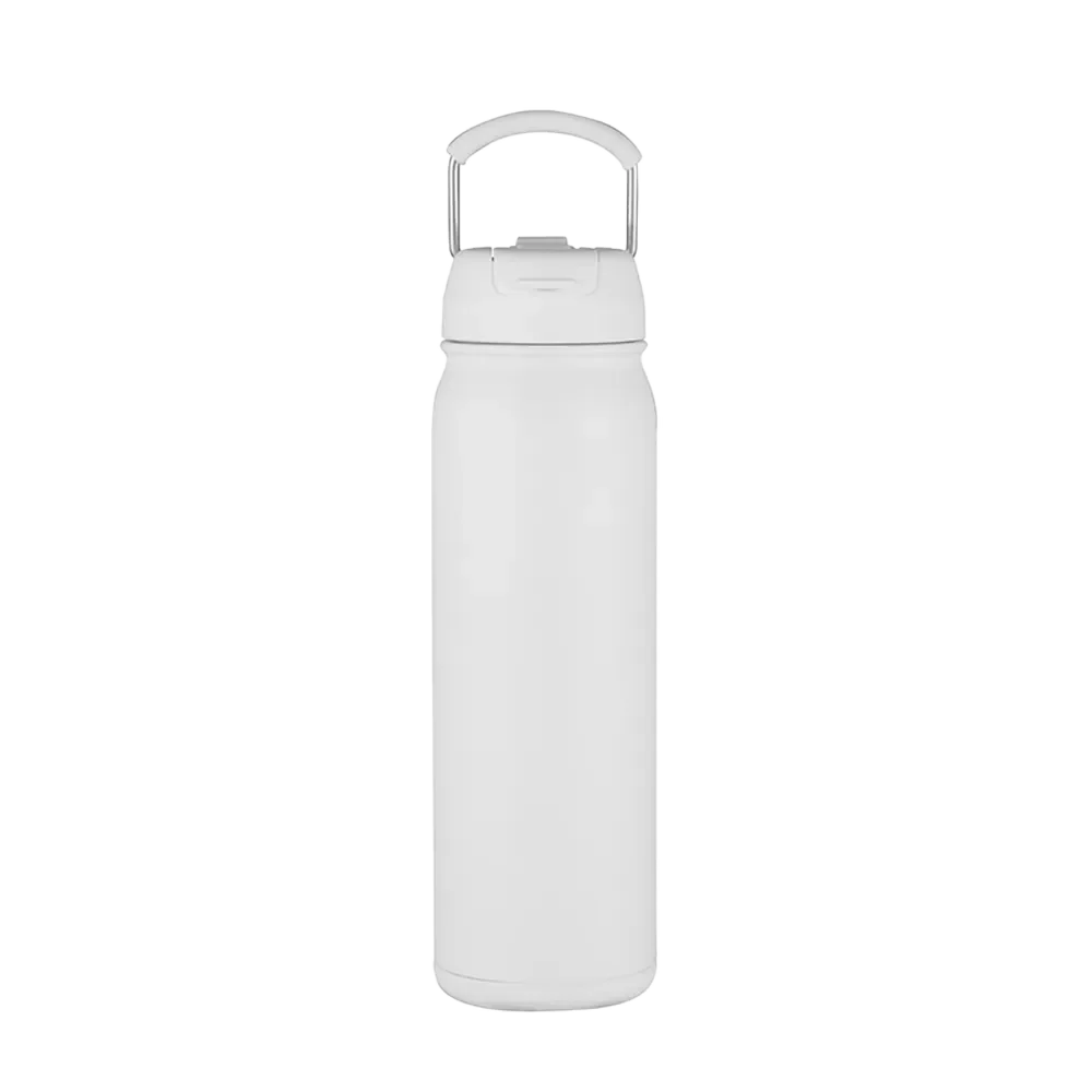Slate 24 oz Bottle with Dual Lid