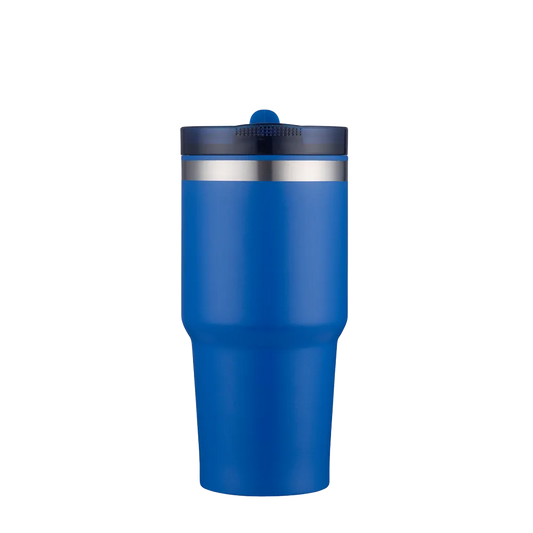 Slate 20 oz Tumbler with Straw Lid