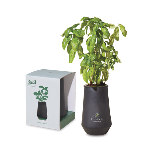 Modern Sprout Tapered Tumbler Grow Kit - Black/Basil