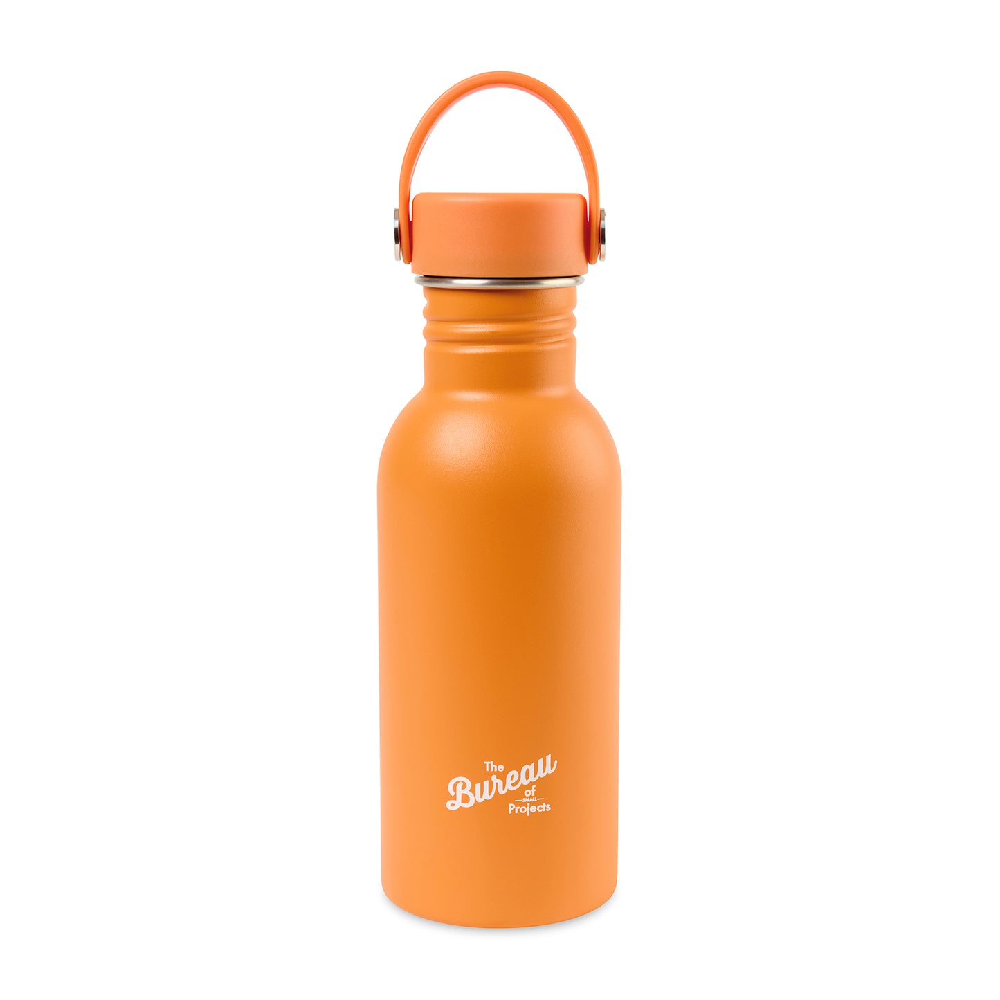 Arlo Classics Stainless Steel Hydration Bottle - 17 Oz. - Carrot Curl