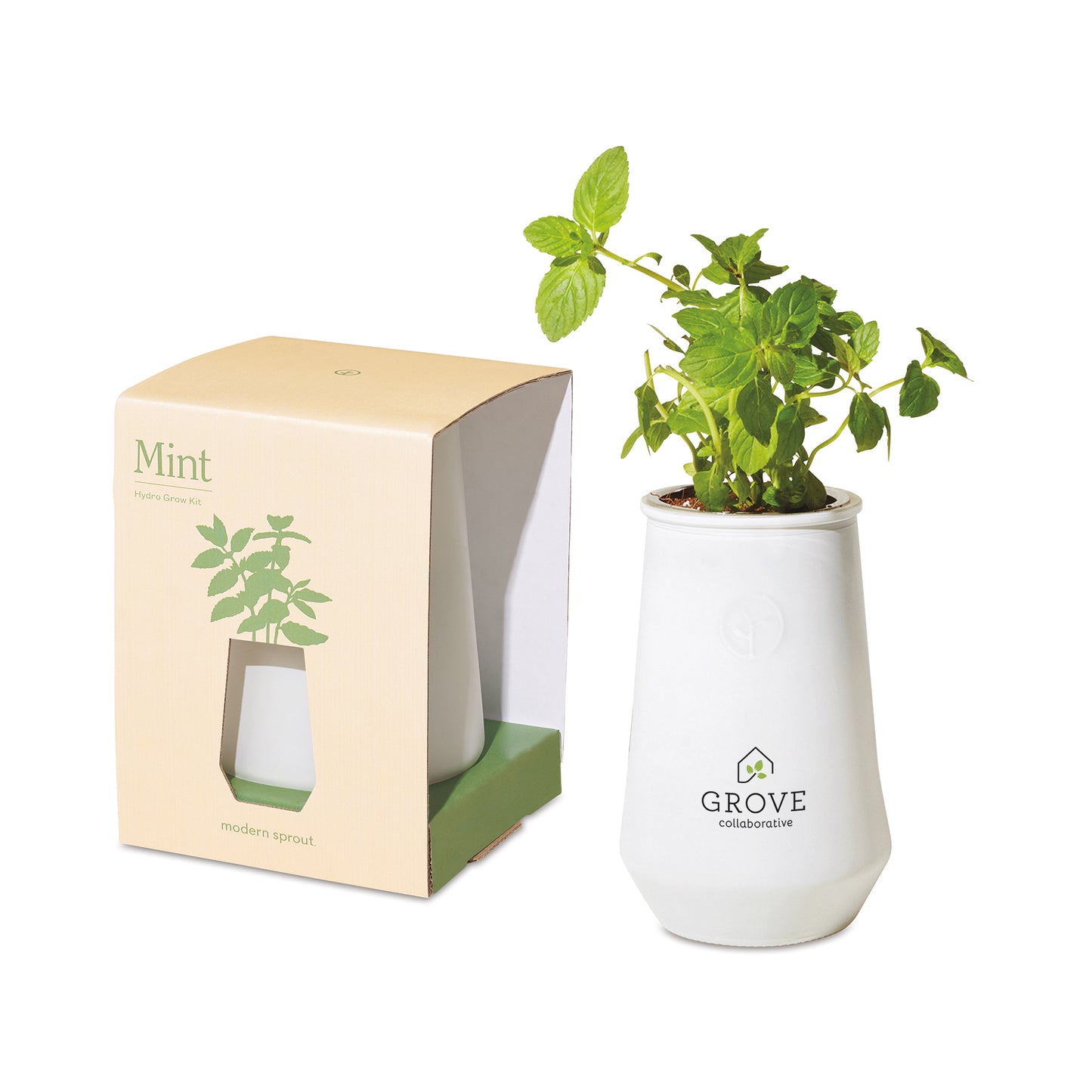 Modern Sprout Tapered Tumbler Grow Kit - White/Mint