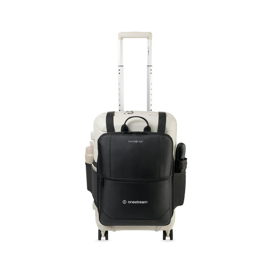Samsonite Outline Pro Carry-On and Convertible Backpack Set - Stone Grey