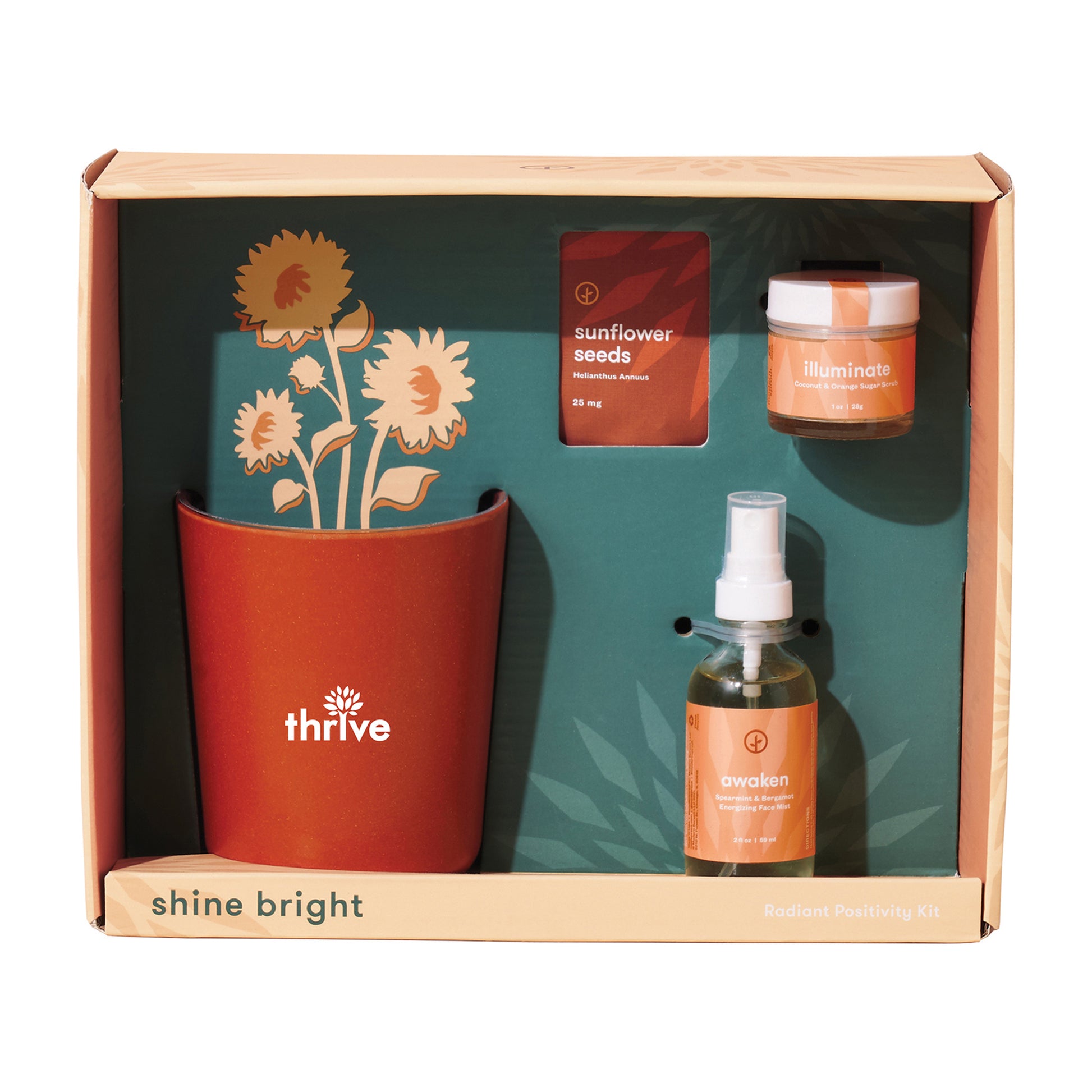 Modern Sprout® Shine Bright Take Care Kit - Sunflower